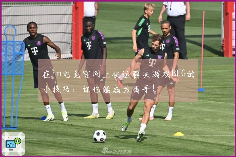 在im电竞官网上快速解决游戏BUG的小技巧，你也能成为高手！